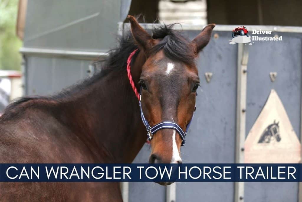 Can A Jeep Wrangler Pull A Horse Trailer?