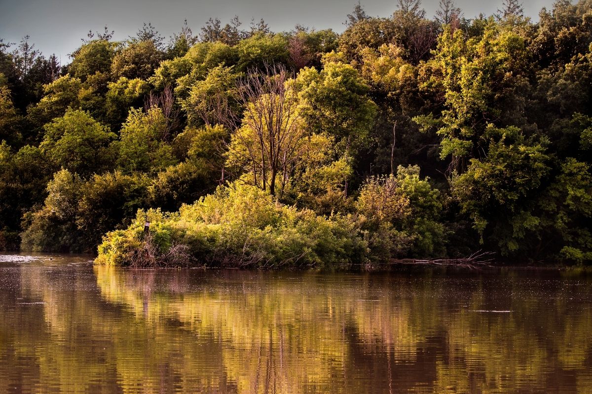 The 9 Best OffRoad Jeep Trails in Oregon Driver Illustrated