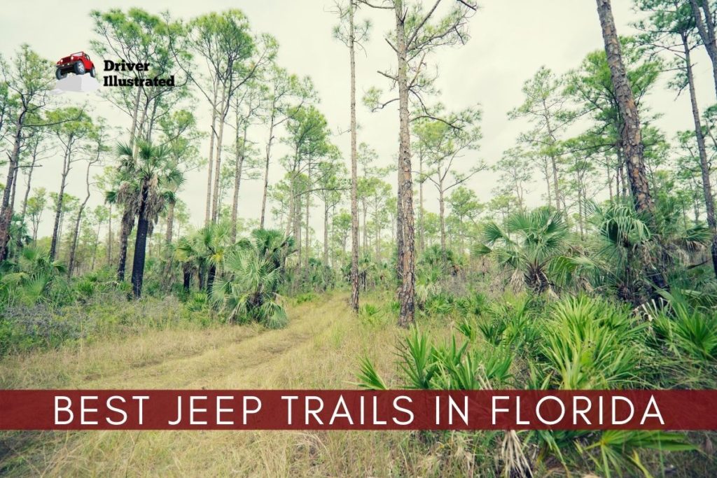 The 9 Best OffRoad Jeep Trails in Florida Driver Illustrated