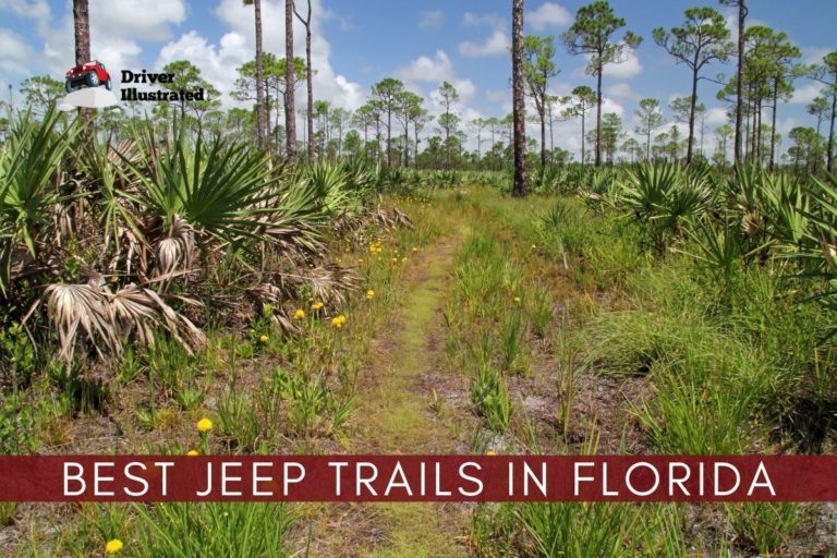 The 9 Best OffRoad Jeep Trails in Florida Driver Illustrated